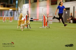 1T0A2264_DxO