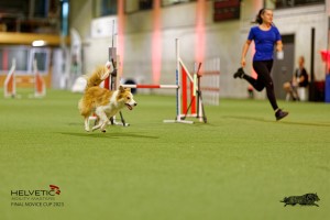 1T0A2265_DxO