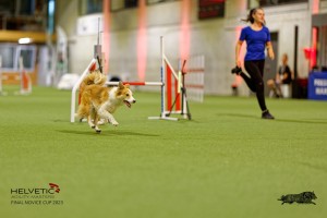 1T0A2266_DxO