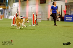 1T0A2267_DxO