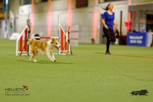 1T0A2268_DxO