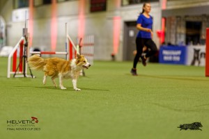 1T0A2270_DxO
