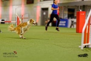 1T0A2272_DxO