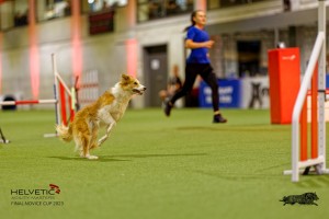 1T0A2273_DxO
