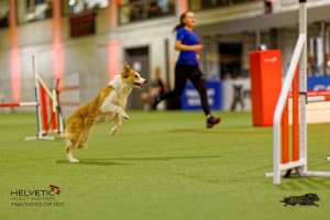 1T0A2274_DxO