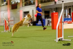 1T0A2275_DxO