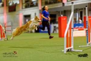 1T0A2276_DxO