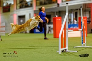 1T0A2277_DxO