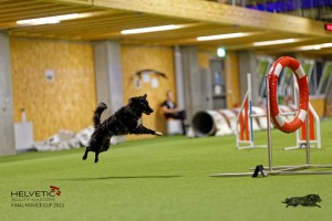 1T0A2326_DxO