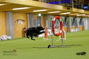 1T0A2329_DxO