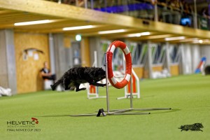 1T0A2330_DxO