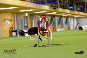 1T0A2331_DxO