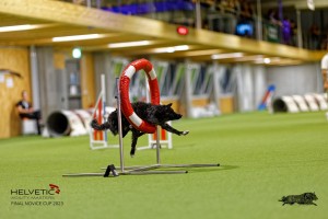 1T0A2332_DxO