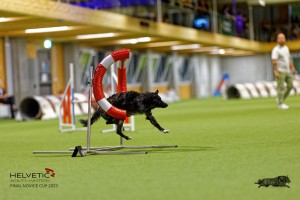 1T0A2333_DxO