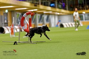 1T0A2334_DxO