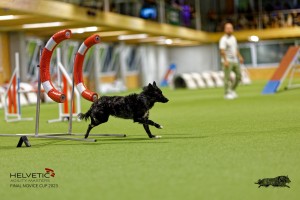 1T0A2335_DxO