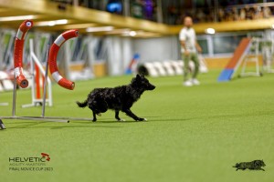 1T0A2336_DxO