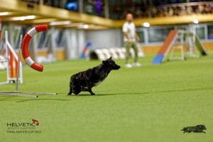 1T0A2337_DxO