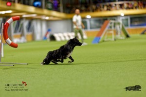 1T0A2338_DxO