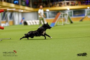 1T0A2339_DxO