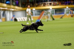 1T0A2340_DxO