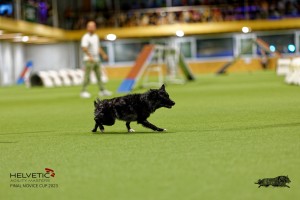 1T0A2341_DxO