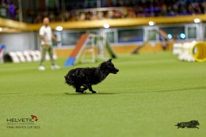 1T0A2342_DxO