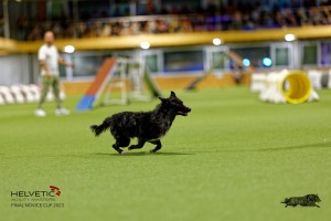 1T0A2343_DxO