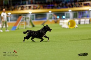1T0A2344_DxO