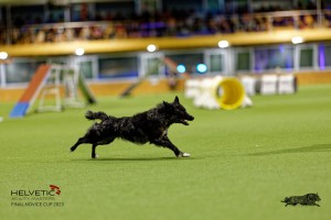 1T0A2345_DxO