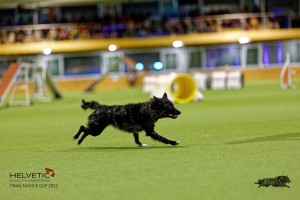 1T0A2346_DxO