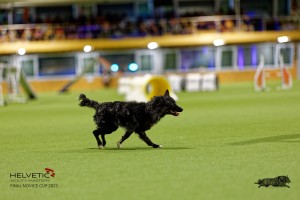 1T0A2347_DxO