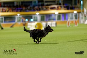 1T0A2348_DxO