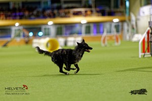 1T0A2349_DxO