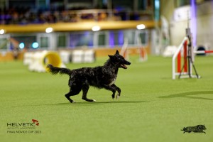 1T0A2350_DxO