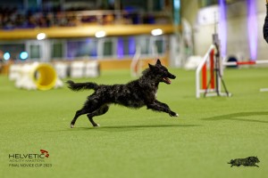 1T0A2351_DxO