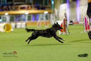 1T0A2352_DxO