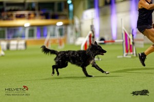 1T0A2353_DxO