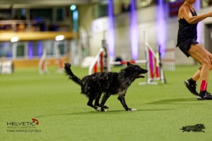 1T0A2354_DxO