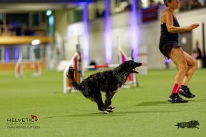 1T0A2355_DxO
