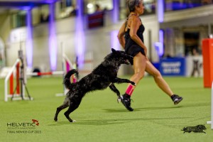 1T0A2357_DxO