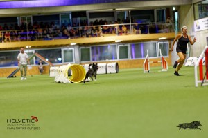 1T0A2380_DxO