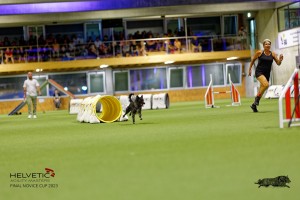 1T0A2381_DxO