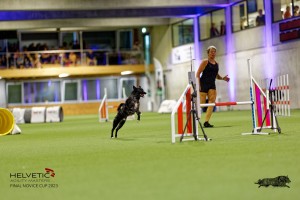 1T0A2395_DxO