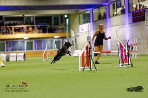 1T0A2396_DxO