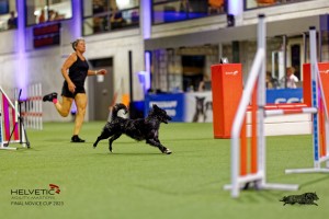 1T0A2415_DxO