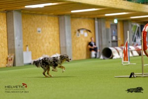 1T0A2511_DxO