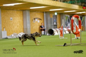 1T0A2513_DxO