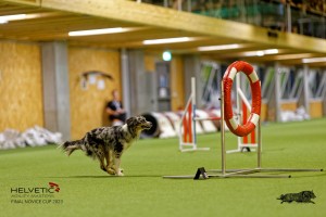 1T0A2515_DxO