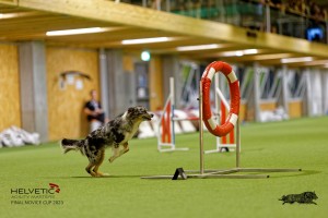 1T0A2516_DxO